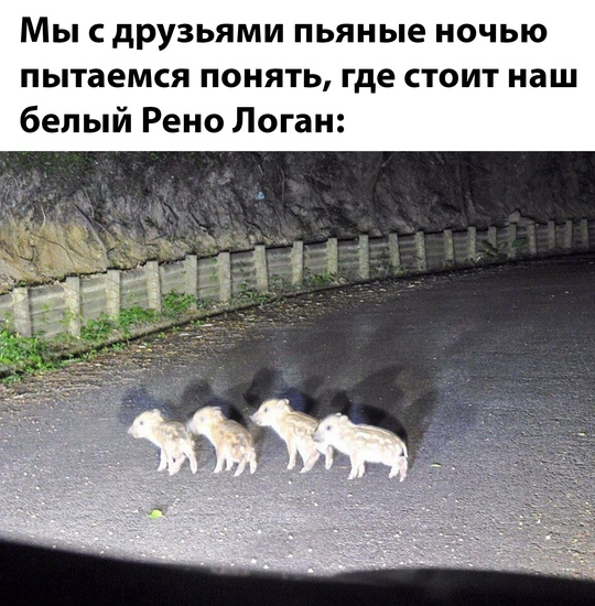 Смешная картинка 1753023429