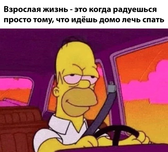 Смешная картинка 1753026447