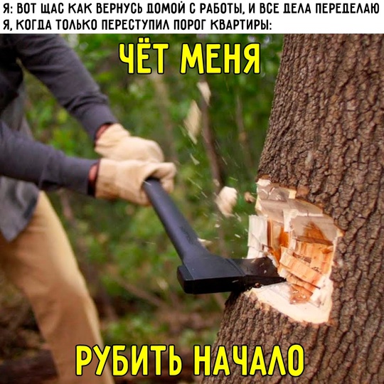 Смешная картинка 1753027380
