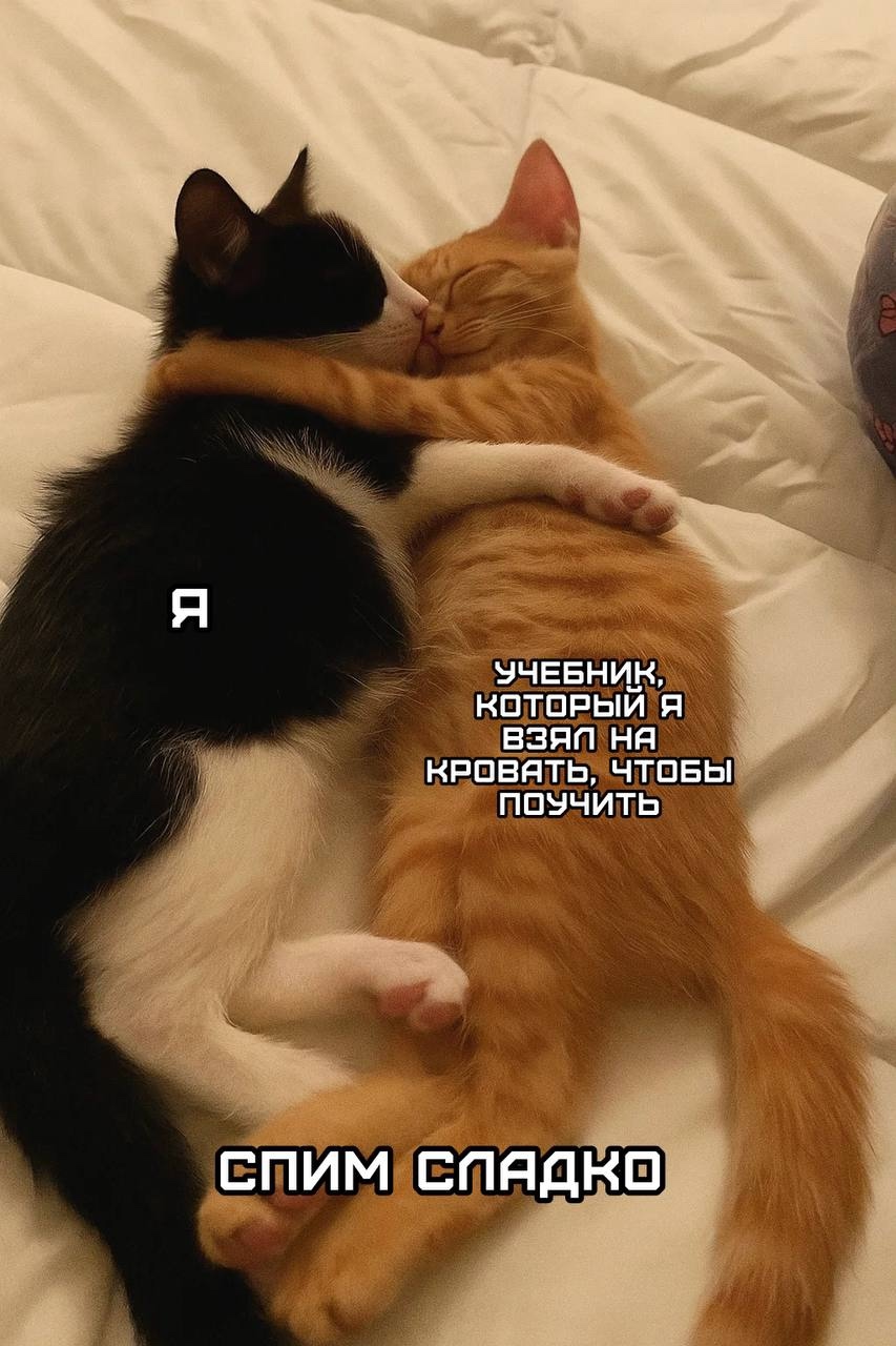 Смешная картинка 1753117980