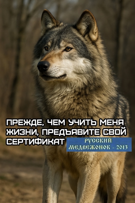 Смешная картинка 1753992960