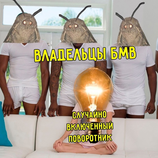 Смешная картинка 1754031780