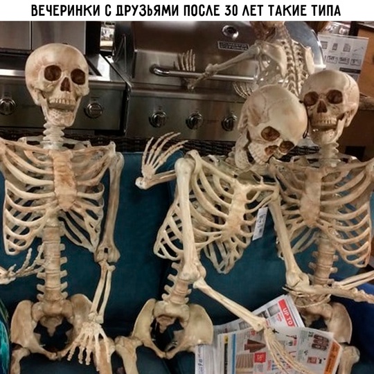 Смешная картинка 1754067780