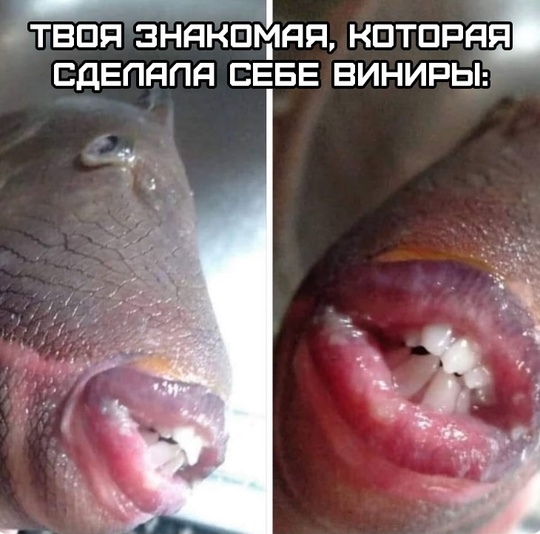 Смешная картинка 1754075580
