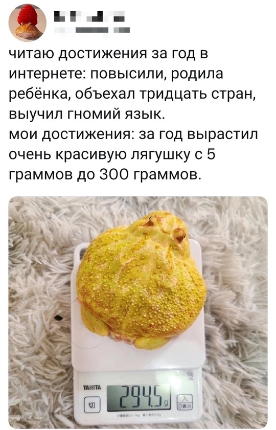 Смешная картинка 1754133154