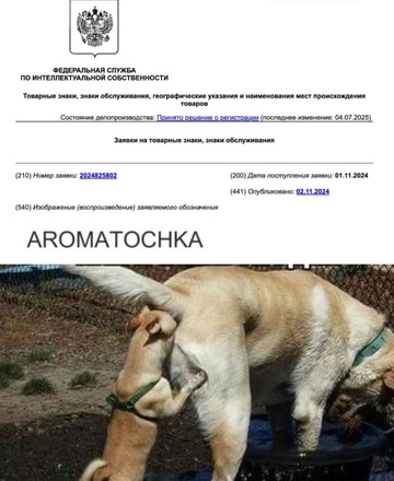 Смешная картинка 1754149833